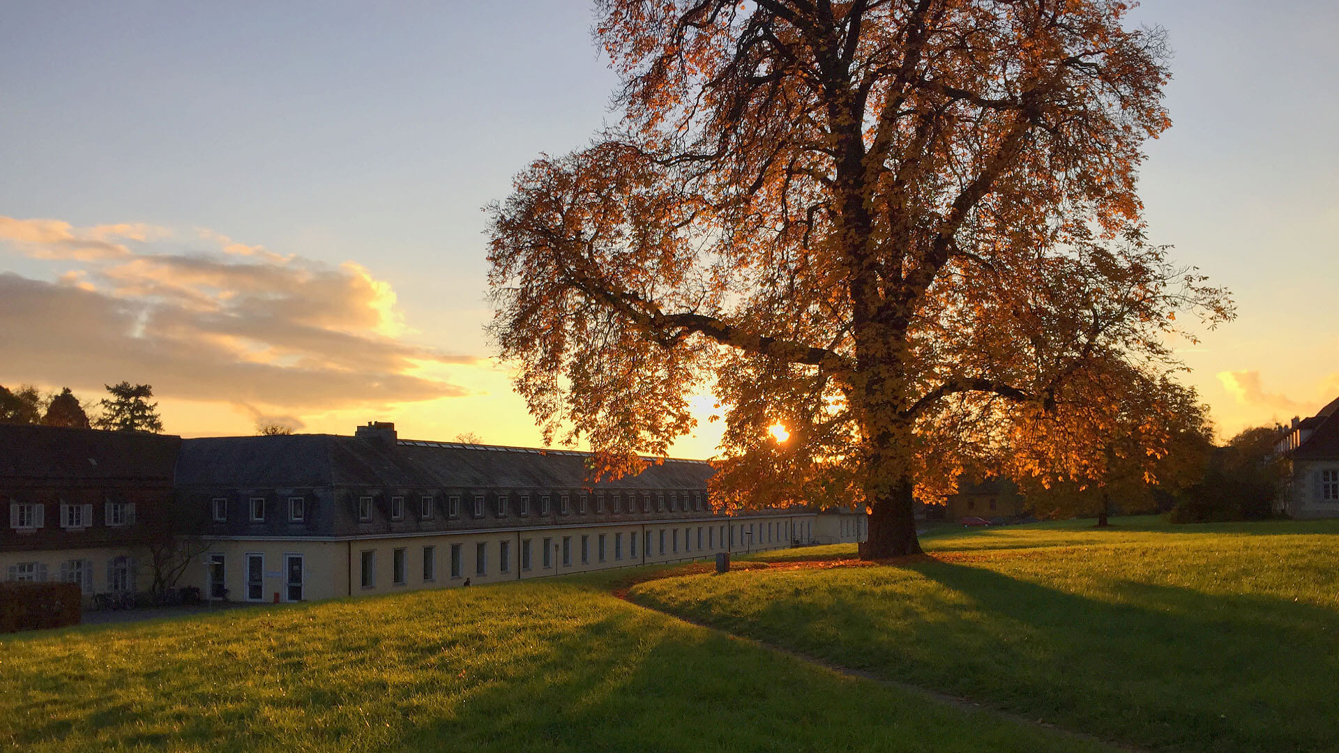 The campus of university of hohenheim at sunset in autumn